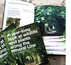 A year-long look at wildlife and plants along the Mineral Line