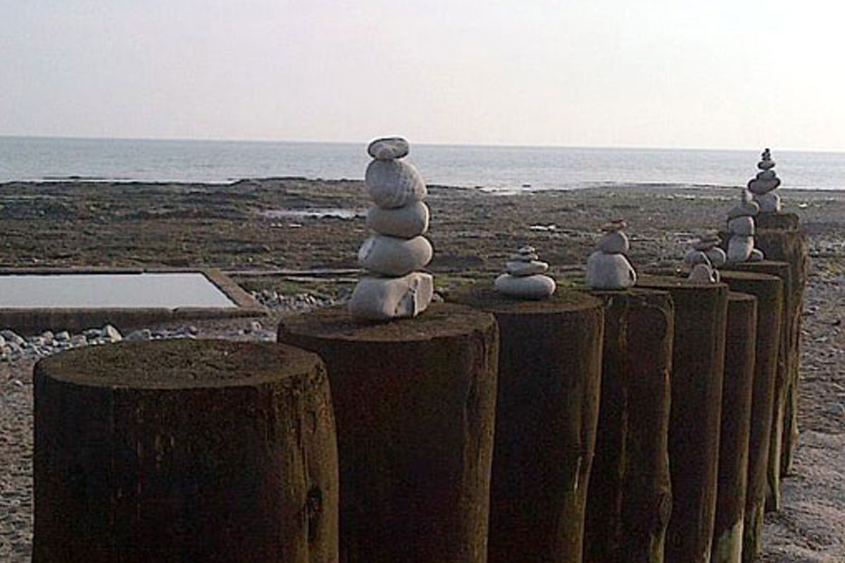 Watchet Conservation Society Activity