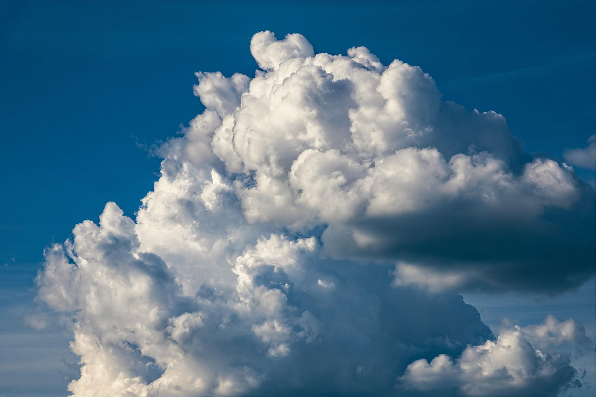 Climate action and environmental protection