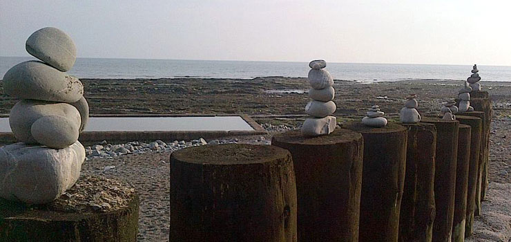 Watchet Conservation Society