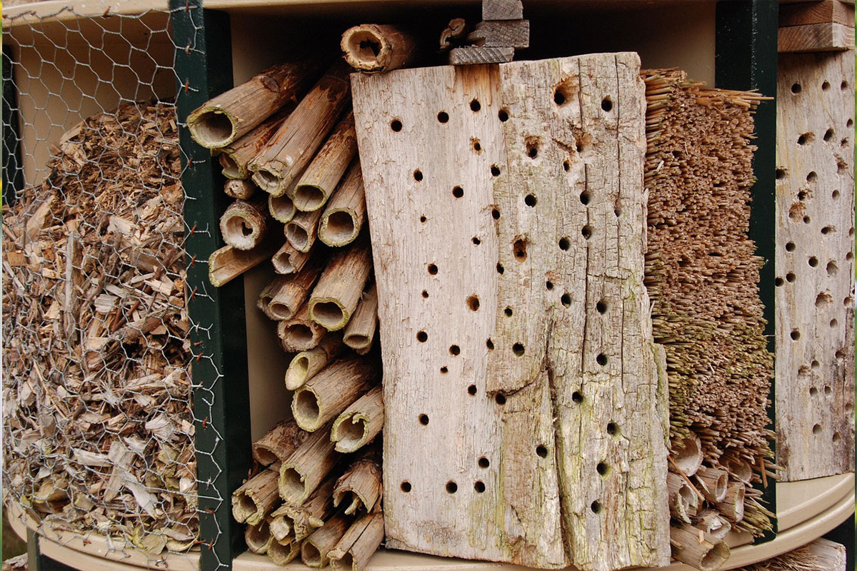 Habitat creation and wildlife conservation